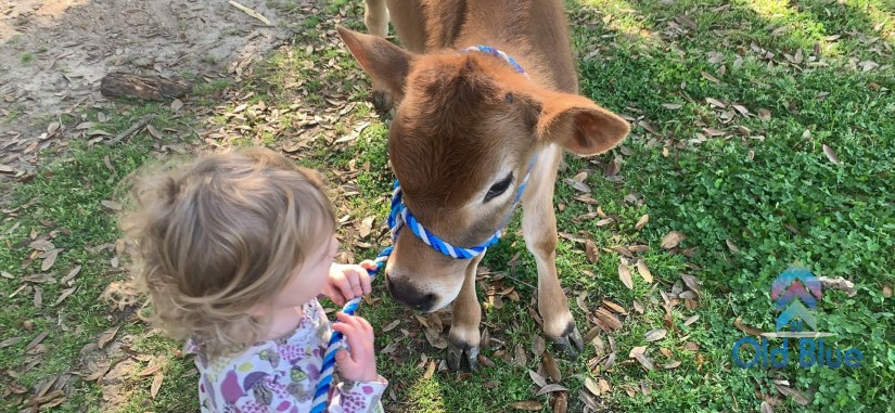 IMG_0962_watermarked