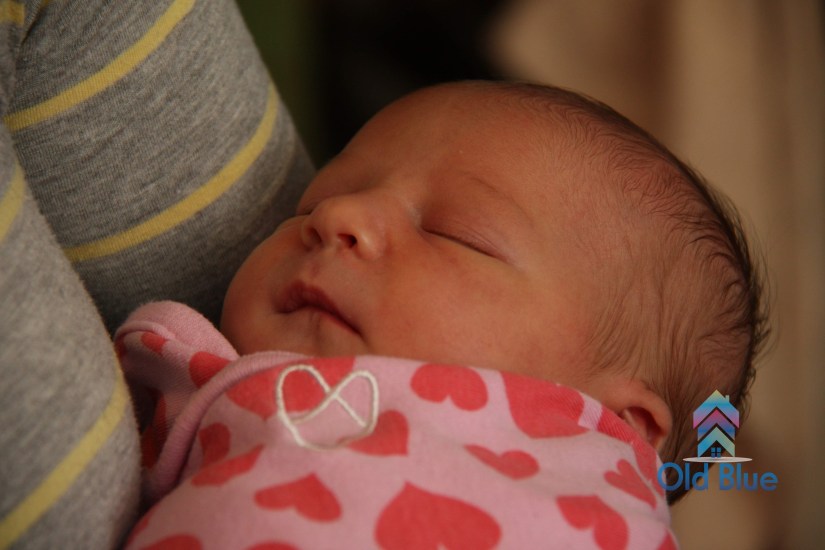 IMG_4356_watermarked